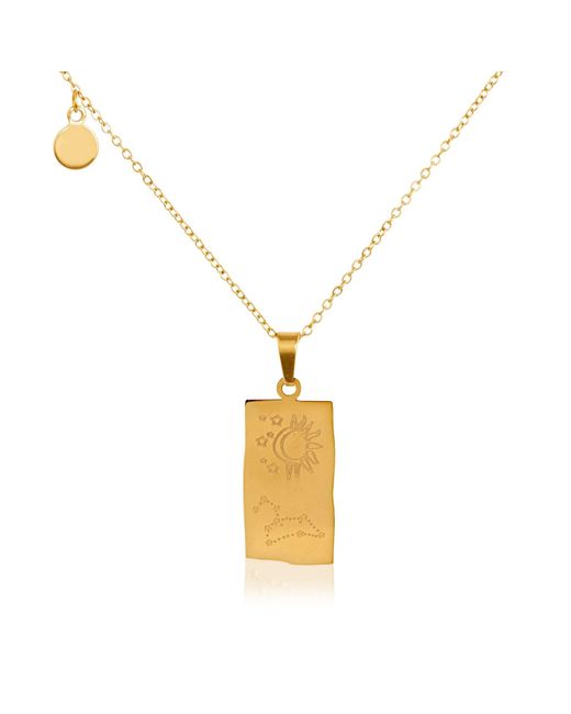 Arctic Fox & Co. Metallic Leo Zodiac Star Sign Necklace
