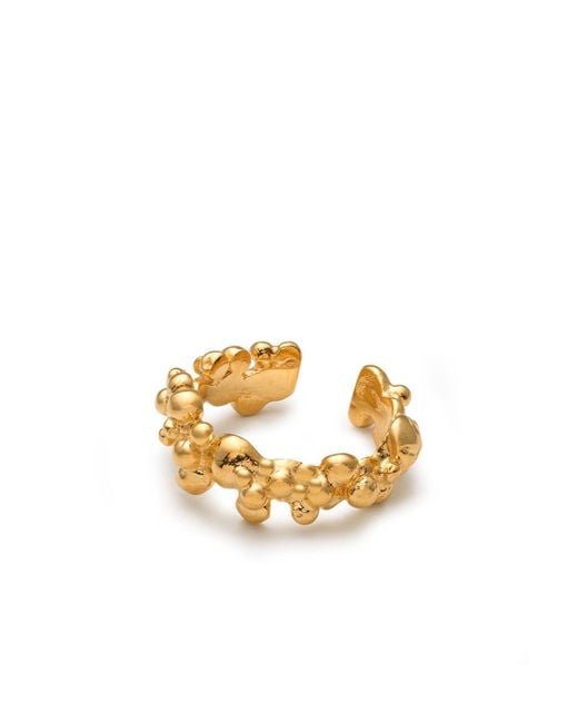 EVA REMENYI Metallic Céleste Deux Ear Cuff