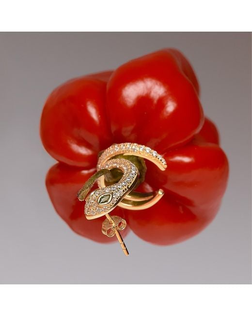The Link Between White Serpent Ear Climber