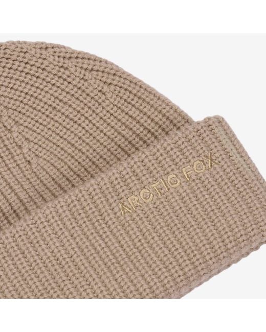 Arctic Fox & Co. Natural Neutrals Embroidered Merino Wool Beanie