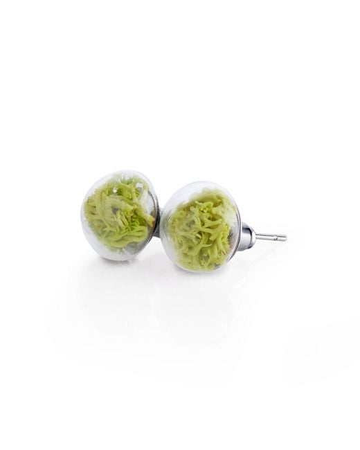 My Little Nature Green Handmade Stud Earrings With Natural Neon Color Moss