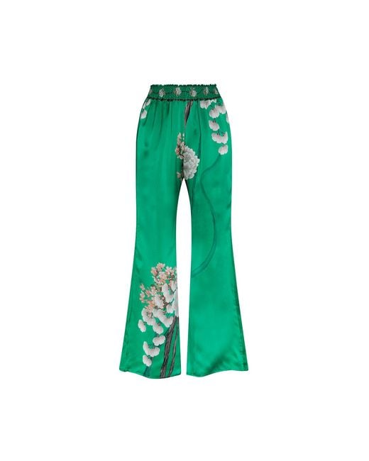 Aguaclara Green Jade Pants