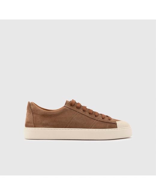 Ilvi Brown Augusto Saddle Suede Leather Sneaker for men