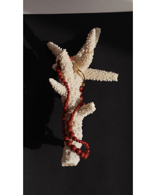 Gem Island Red Jasper Necklace