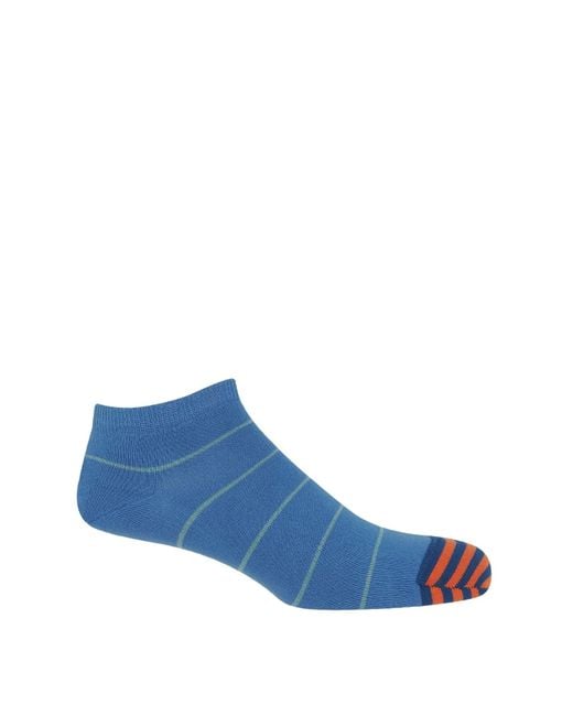 Peper Harow - Made in England Blue Thin Stripe Trainer Socks – Bundle for men