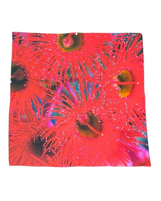 Lindsay Nicholas New York Red Melbourne Scarlet Burst Silk Scarf