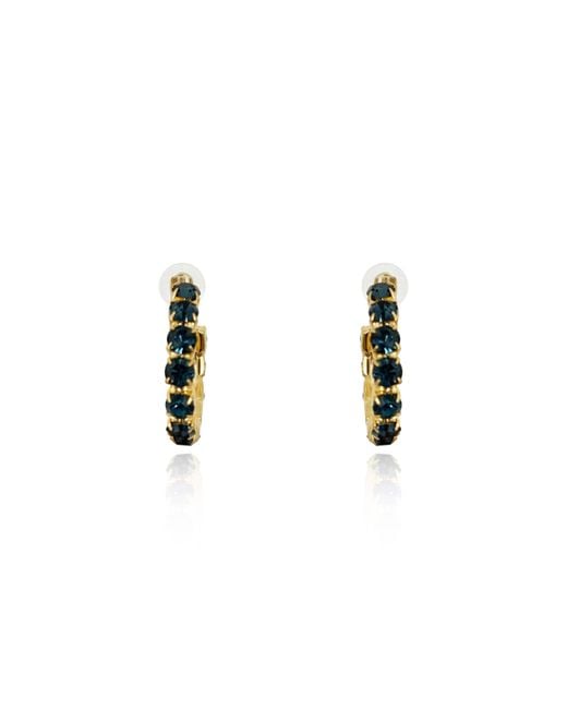 Laura Gray Metallic Dark Crystal Hoop Earrings