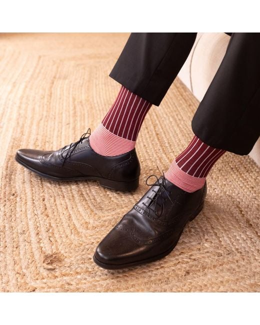 Peper Harow - Made in England Pink Oxford Stripe Burgundy Luxury Crew & Trainer Socks Bundle for men