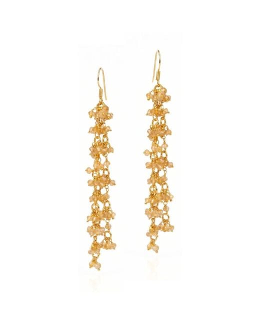 Jaredjamin Metallic Eloise Citrine Cluster Vine Dangle Earrings