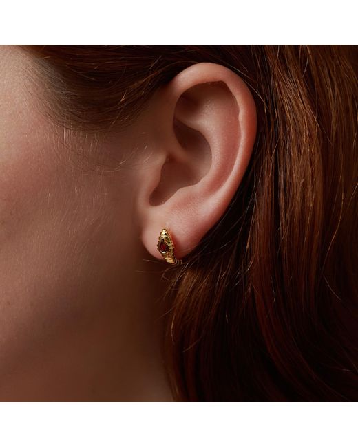 Janus Edinburgh Metallic Cobra Vermeil Garnet Earrings