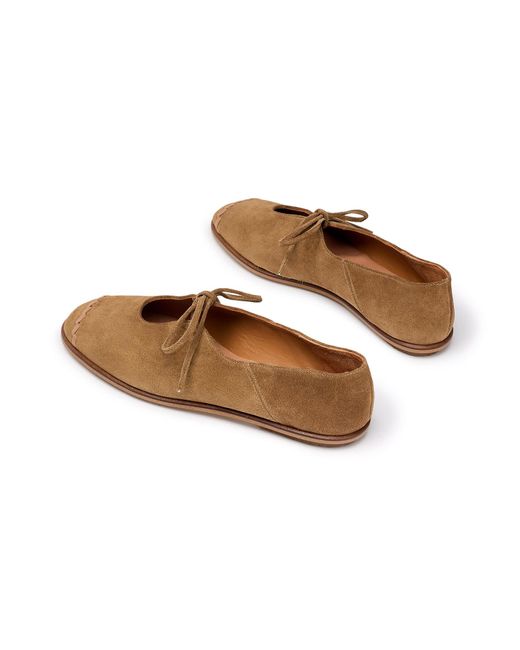 Naguisa Brown Lavinia