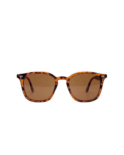Hortons England Brown Wayfarer Tortoiseshell Sunglasses