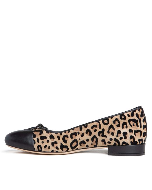 Beautiisoles by Robyn Shreiber Made in Italy Black Neutrals Beatrice Animal Printed Suede Comfortable Elegant Flat Ballerina
