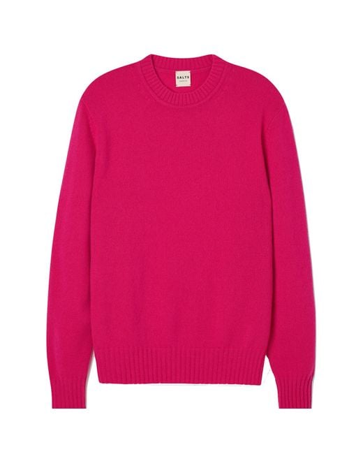 Salts Pink Lofty Knit Crew Neck Sweater