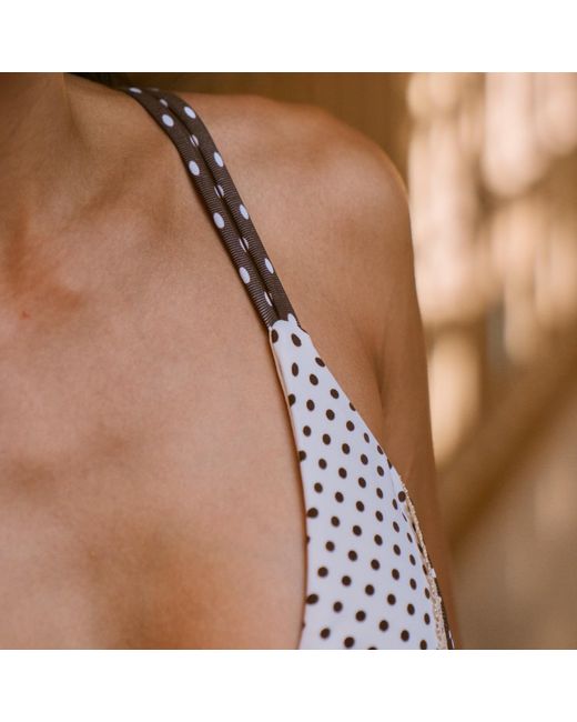 Befitnesslou Gray Bra Cb Polkadot & Off