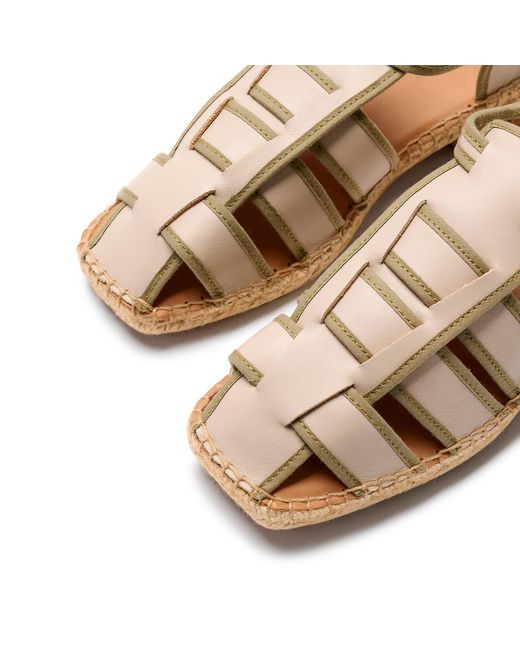 Naguisa Brown Neutrals Sativa Taupe