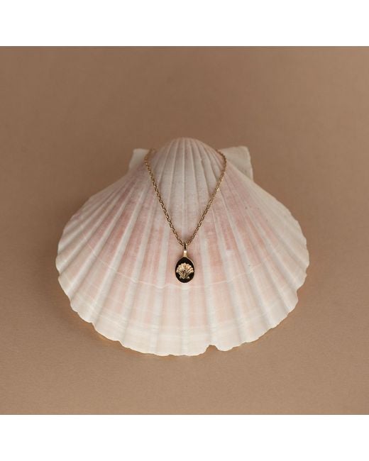 Zoe & Morgan Metallic Secret Society Of Shell Lovers Necklace