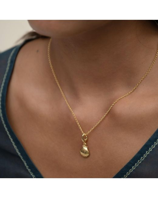 Lily Charmed Metallic Plated Clam Shell Charm Necklace