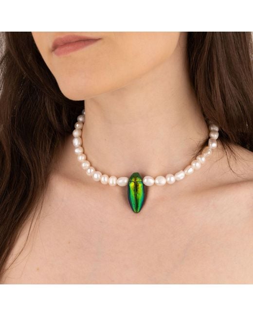 Oana Savu Metallic Beetle Real Insect And Freshwater Pearls Choker