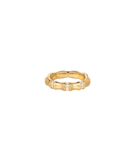 Vanhi Metallic Bamboo Chunky Crystal Ring