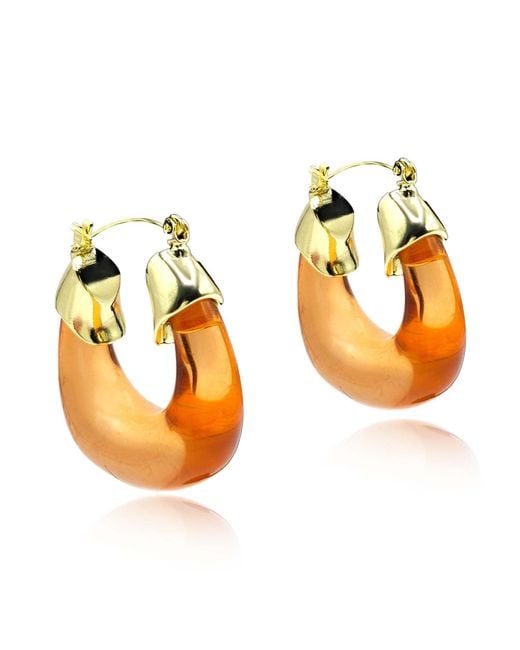 Michael Nash Jewelry Metallic Winslow Topaz Resin And Hoop Earrings