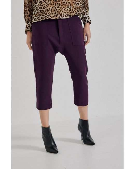 Lindsay Nicholas New York Purple Maverick Drop Crotch Pant