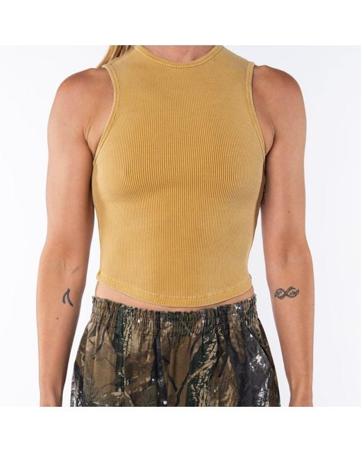 Ariko Orange Sunrise Scallop Tank