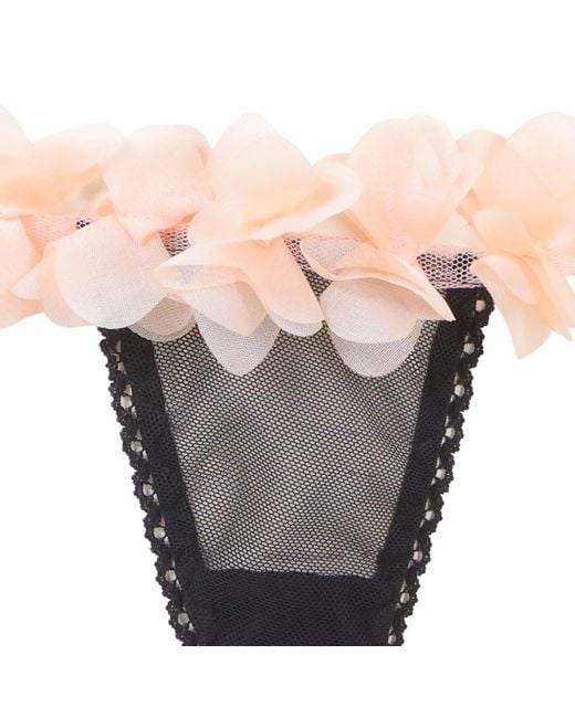 Belle -et-BonBon Natural Fifi Petal Thong