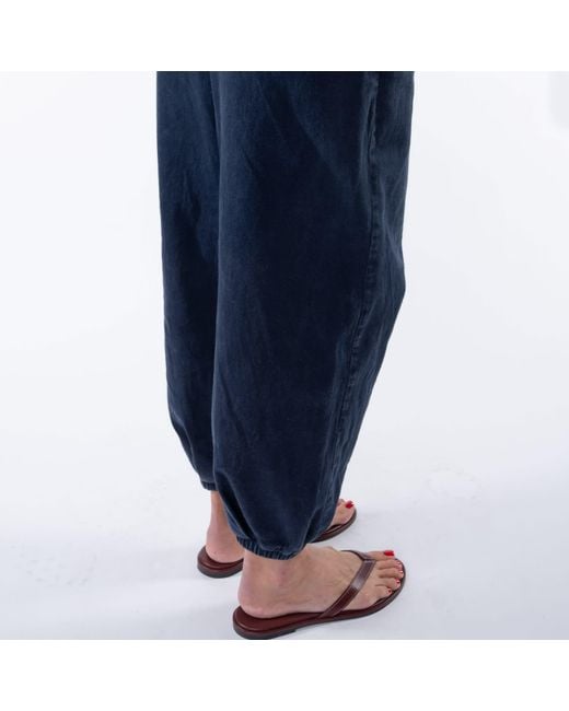 Ariko Blue Day Pants