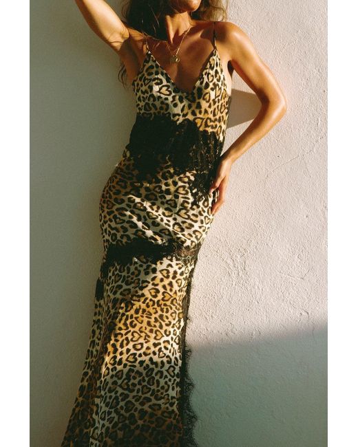 Wild Lovers Brown Honeycomb Dress