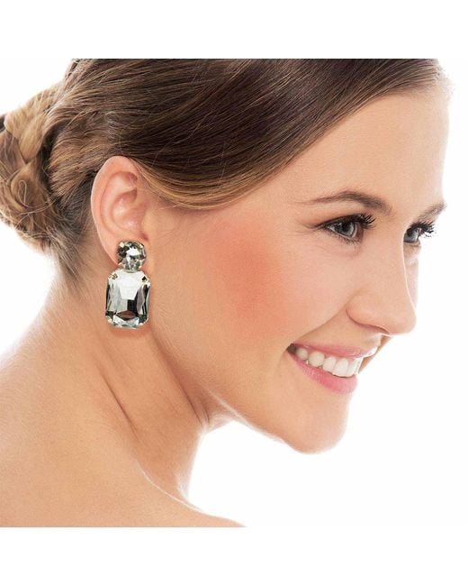 Michael Nash Jewelry Metallic Neutrals Adelle Clear Crystal Octagon And Round Stone Drop Earrings