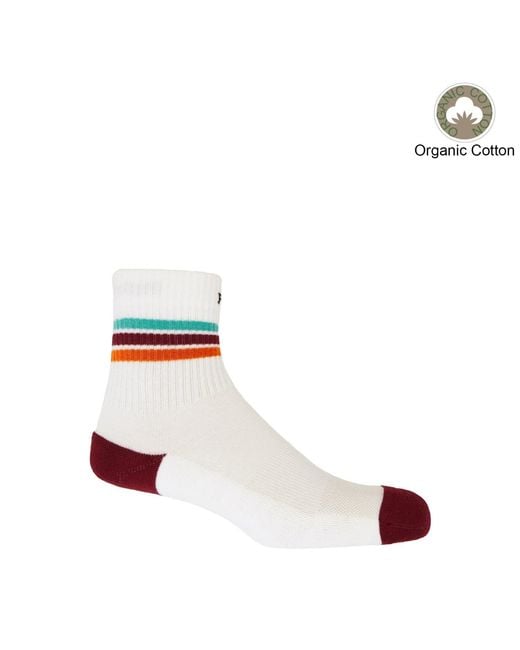 Peper Harow - Made in England Blue Organic Socks Bundle – for men