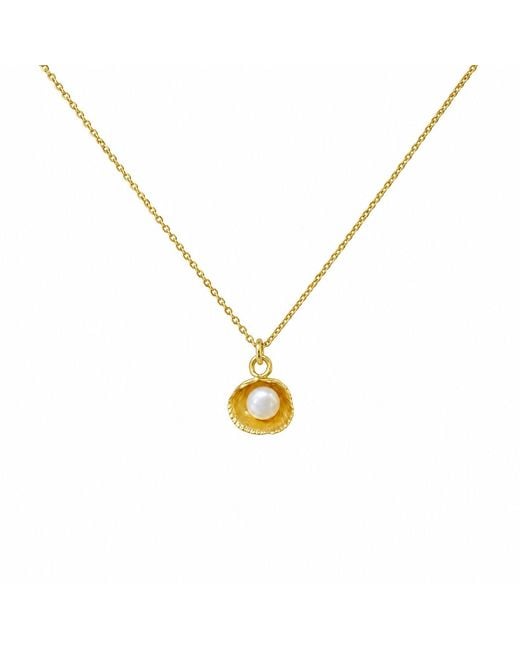 Mother Nature Jewelry Metallic Sea Shell & Pearl Necklace, Handmade Minimalist Pendant