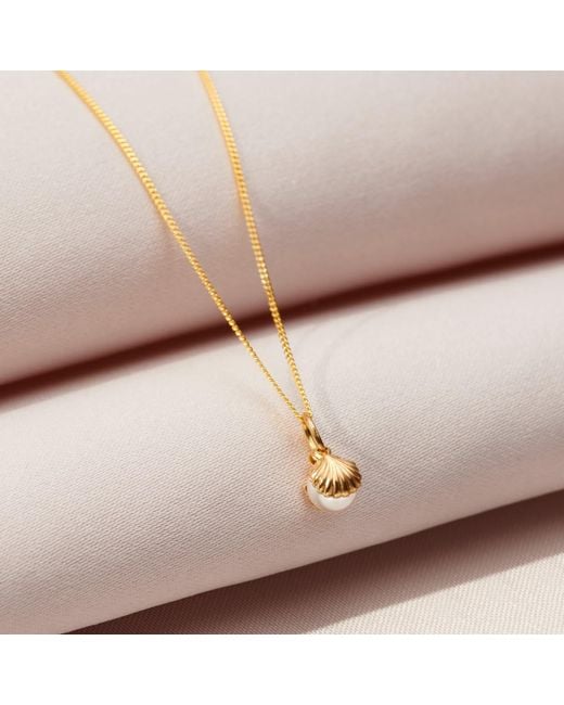 Posh Totty Designs Metallic Gold Pearl & Shell Charm Necklace