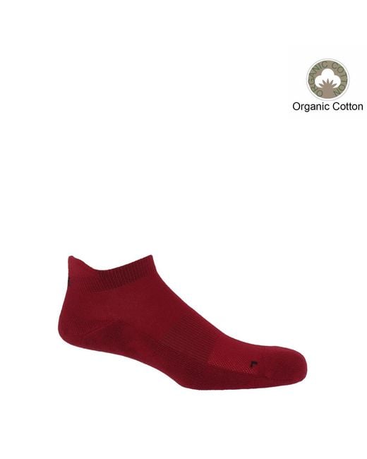 Peper Harow - Made in England Red Organic Trainer Socks Bundle – Burgundy for men