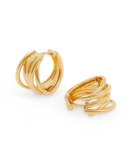 Cote Cache Metallic Spiral Hoop Earrings