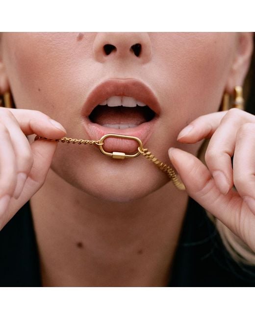 Bermuda Watch Company Metallic Maivelle Lexi Carabiner Chain Necklace