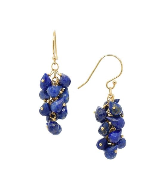 Lori Kaplan Design Blue Lapis Cascading Earings