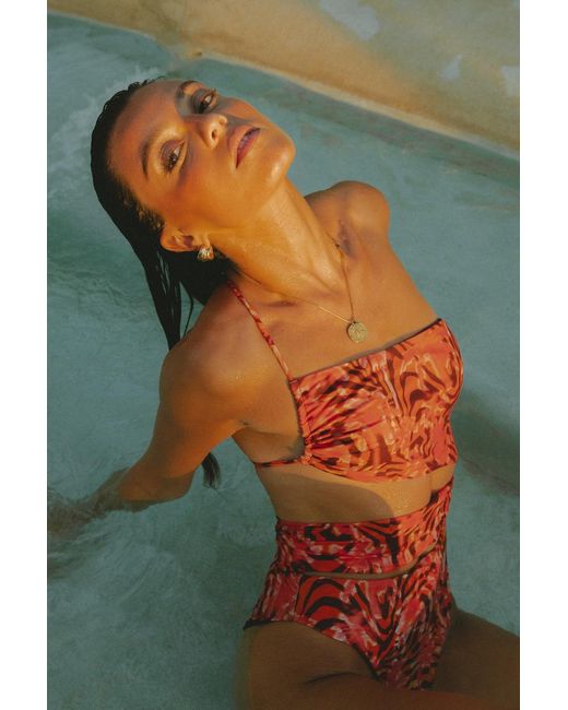 Wild Lovers Orange Heatwave Swimsuit