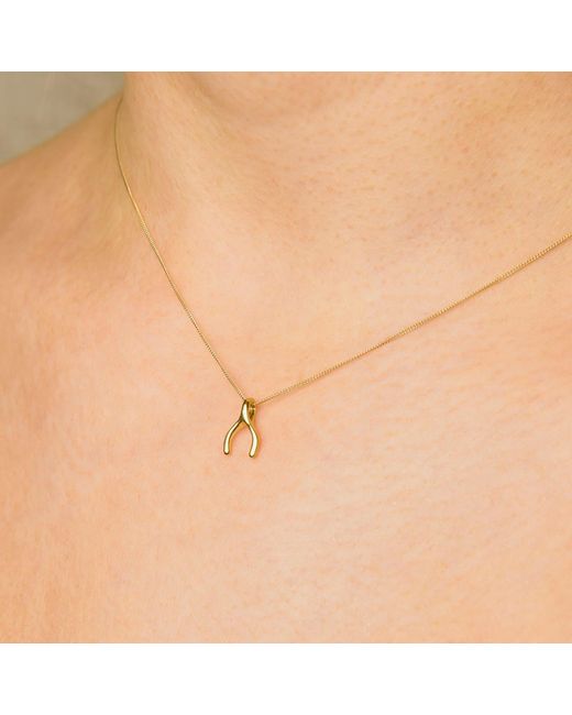 Nellou Jewellery Metallic Wishbone Necklace Plated Sterling