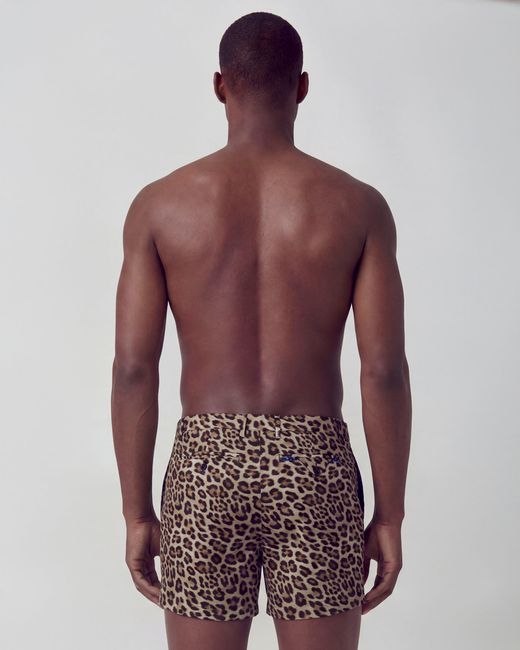 Lords of Harlech Black Pool Leopard Tailored Swim Short for men