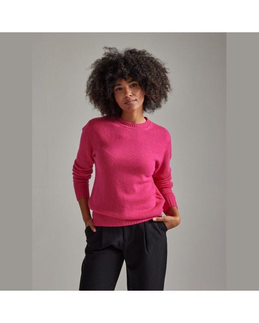 Salts Pink Lofty Knit Crew Neck Sweater