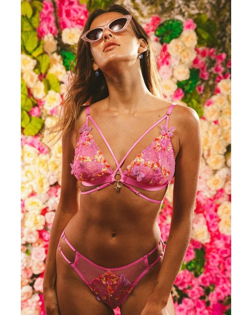 Empress Mimi Purple Madame X Lace Hipster With Butterfly Detail