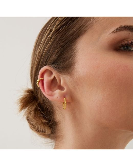 Spero London Metallic Bead Hoop Sterling Earring