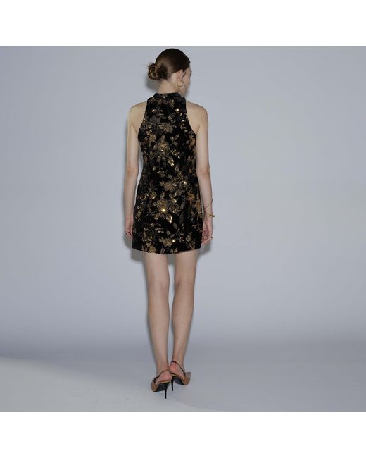 Belsize25 Black Golden Garden And Velvet Beaded Floral Halterneck Mini Dress