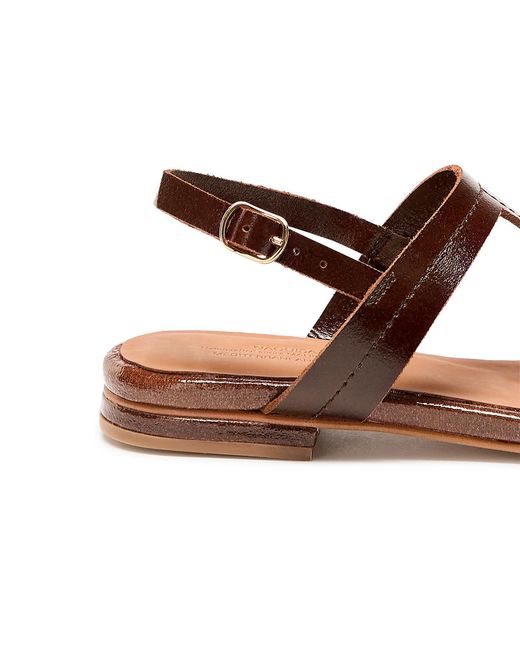Naguisa Brown Altea Gloss