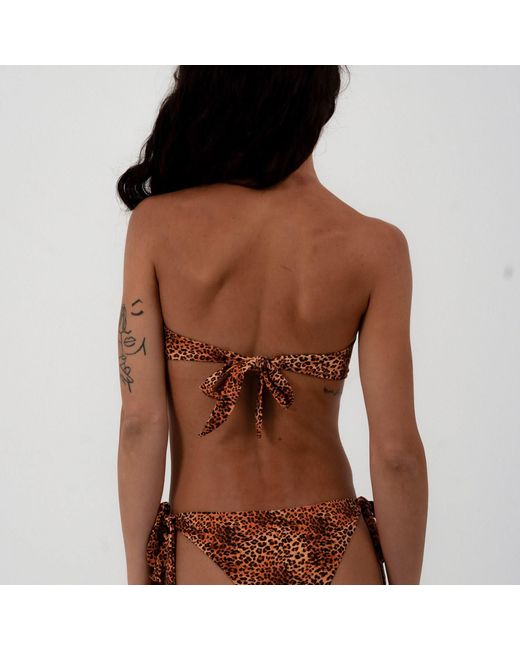 Soleil State Brown Sunseeker Leopard