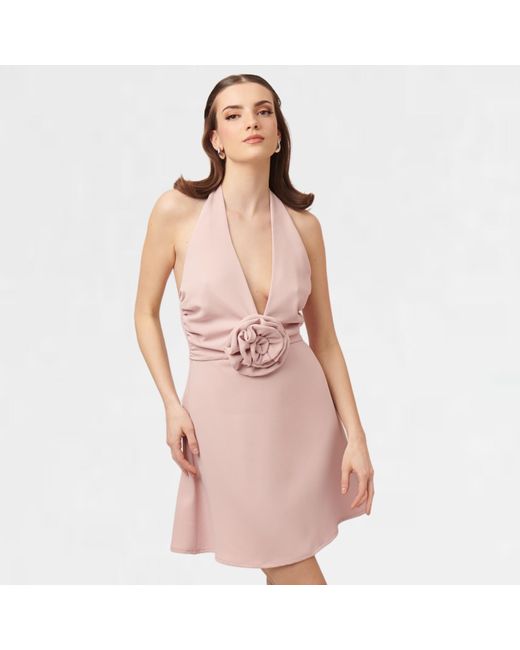 Nanas Pink Neutrals / Rose Mini Dress