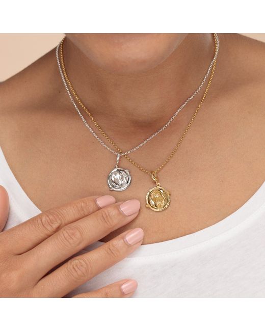 Lily Charmed White Sterling Pisces Zodiac Charm Necklace