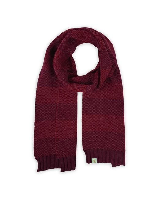 Otto & Spike Purple Scarves